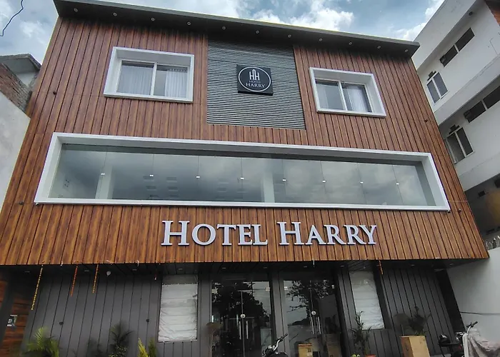 Hotel Harry